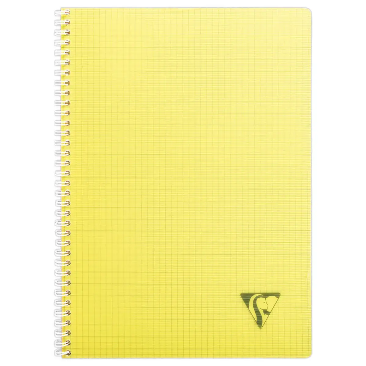 Spiraalschrift Linicolor A4 - 5x5 - 90g - 100 pagina's