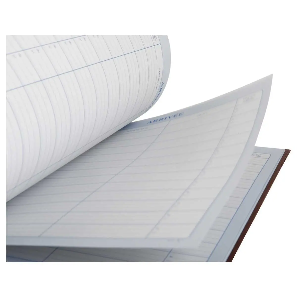Maandplanner betalingen LE DAUPHIN - 12 tabs op maand - 96 pagina's