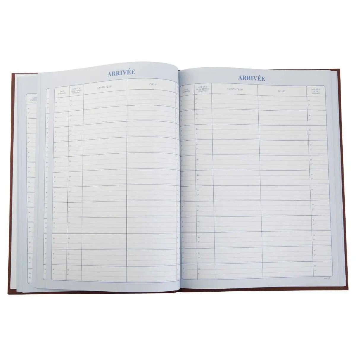Maandplanner betalingen LE DAUPHIN - 12 tabs op maand - 96 pagina's