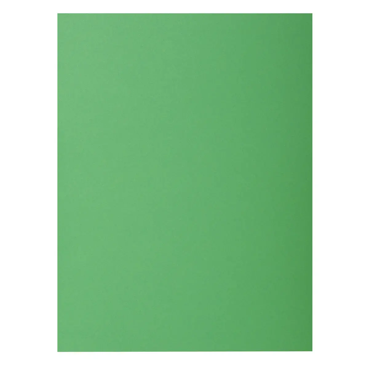 Pak van 10 ROCK'S 210 mappen - 24 x 32 cm - Dennenboom - Exacompta 