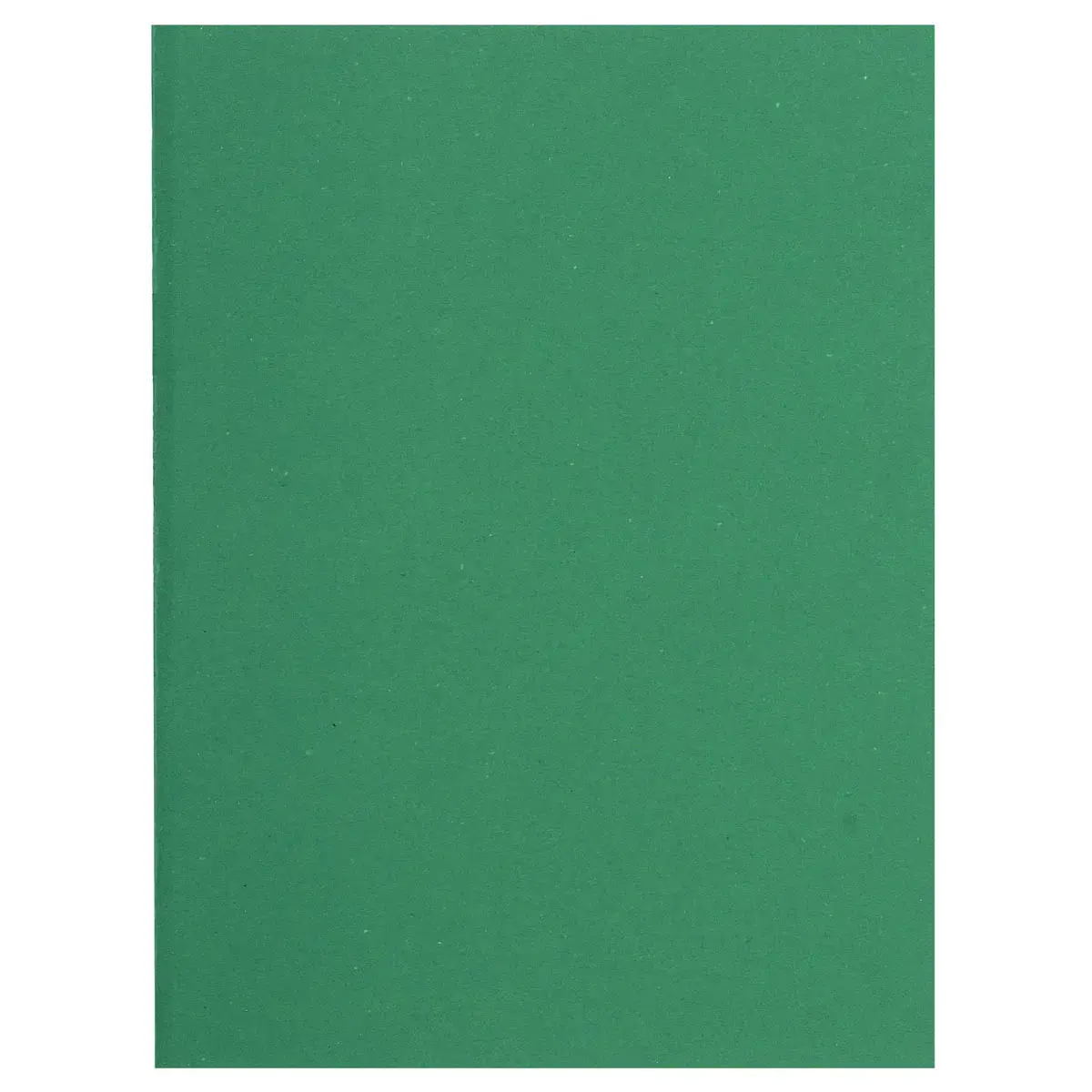 Pak van 100 FLASH 220 mappen 100% gerecycled - 24 x 32 cm - Groen - Exacompta 