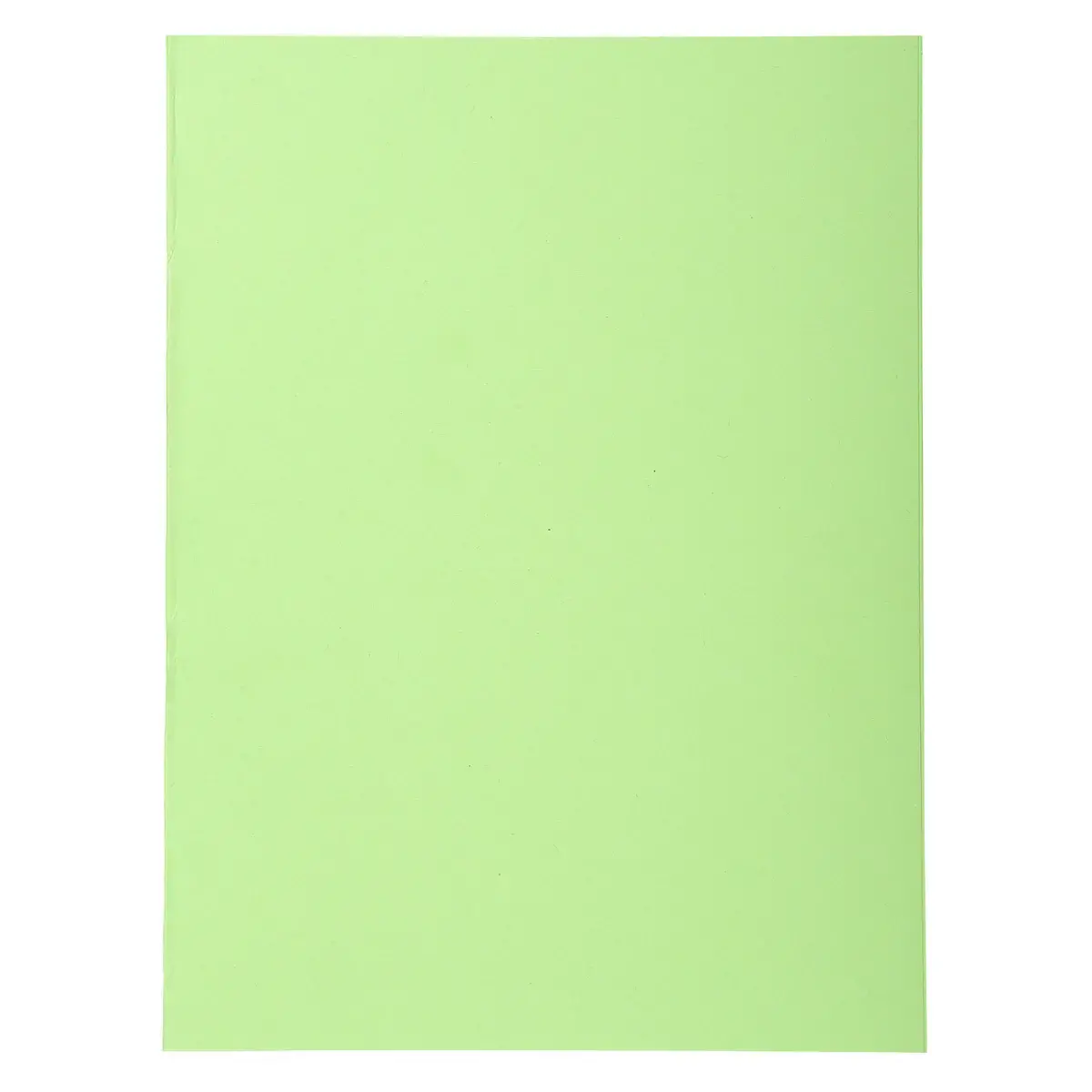 Pak van 50 Forever® 170 overhemden 100% gerecycled - 24 x 32 cm - Felgroen - Exacompta