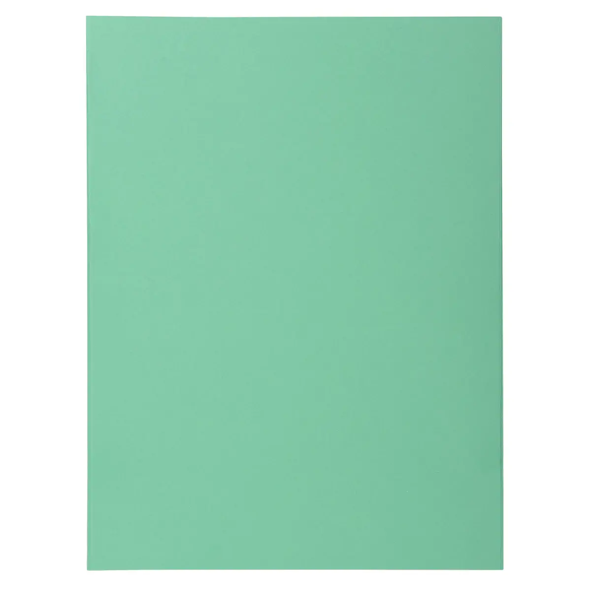Pak 100 SUPER 210 mappen - 24 x 32 cm - Felgroen - Exacompta 