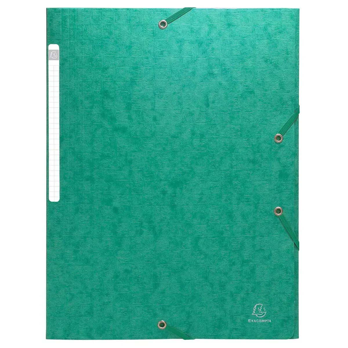 Elastische overhemden met glanzende kaart, 3-laps monobloc - Groen - Exacompta 