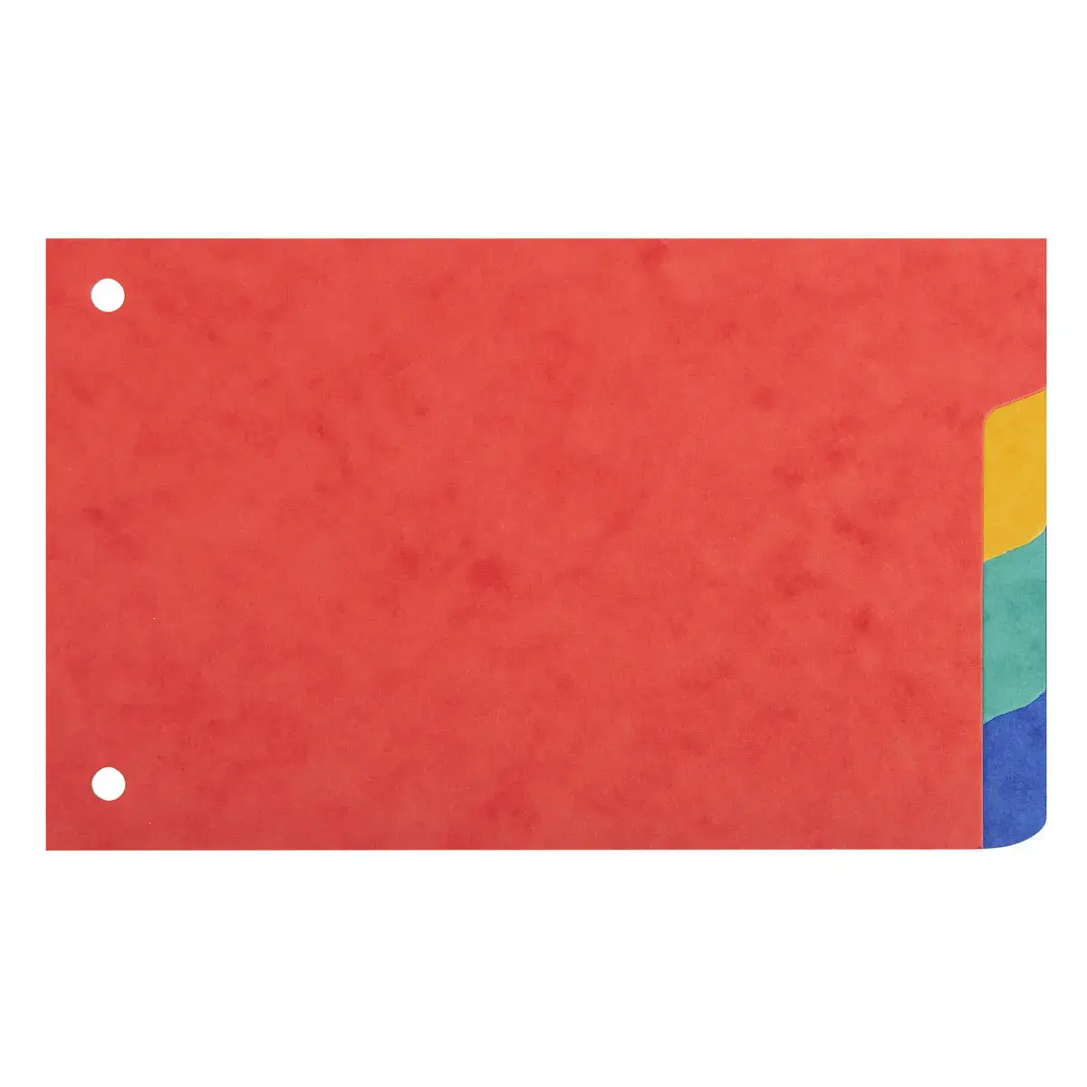 Tabbladen voor glanzende Bristol-kaarten 225 g/m2 4 posities - 100 x 150 mm - Exacompta 