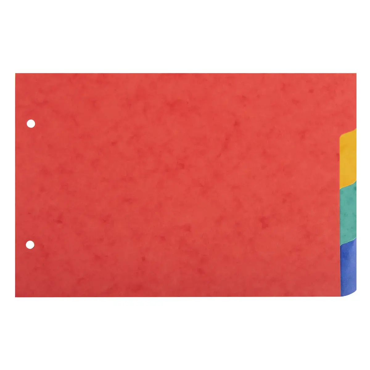 Tabbladen voor glanzende bristolkaarten 225 g/m2 4 posities - A5 148 x 210 mm - Exacompta