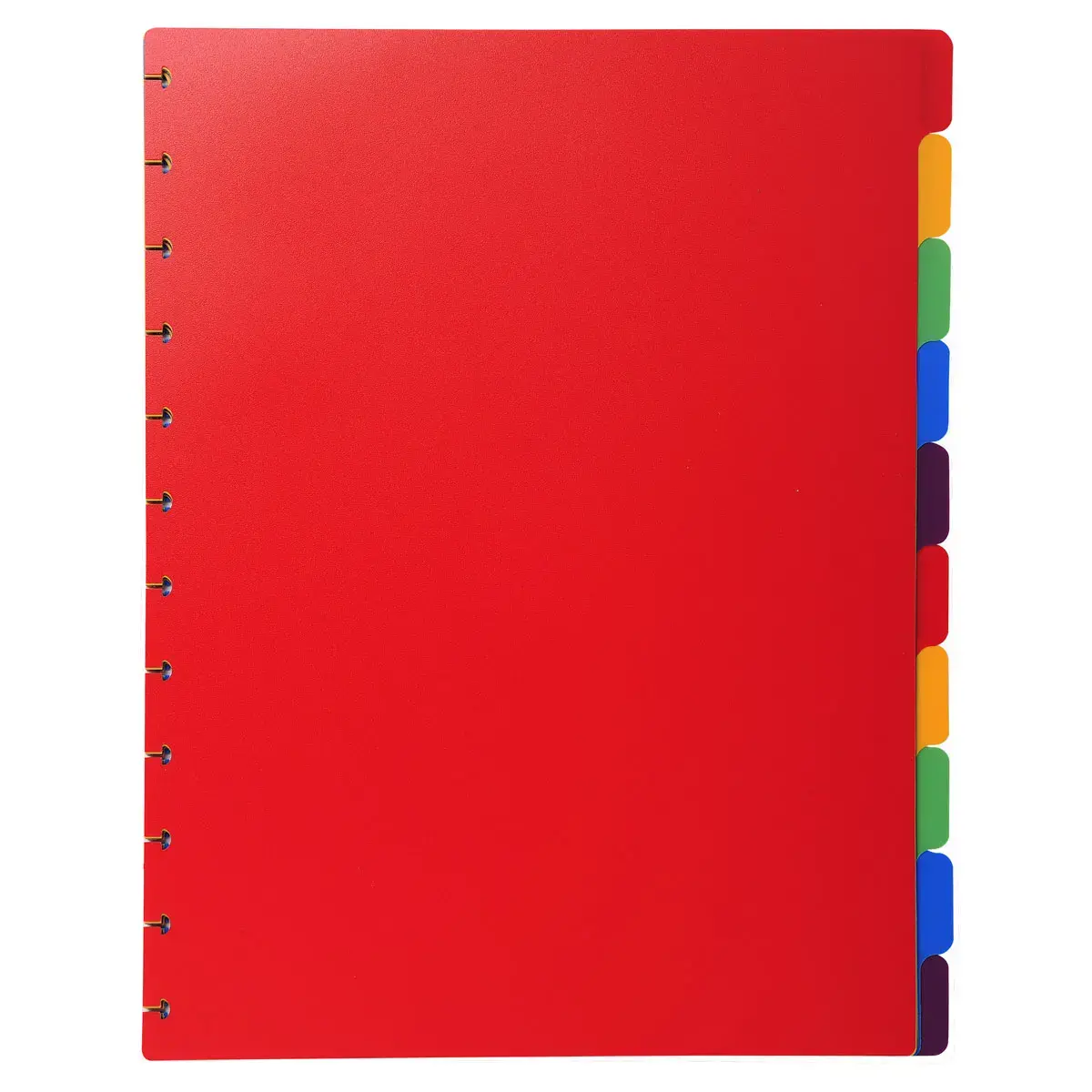 Tabbladen PP A4 voor showalb/ring 10tabs
