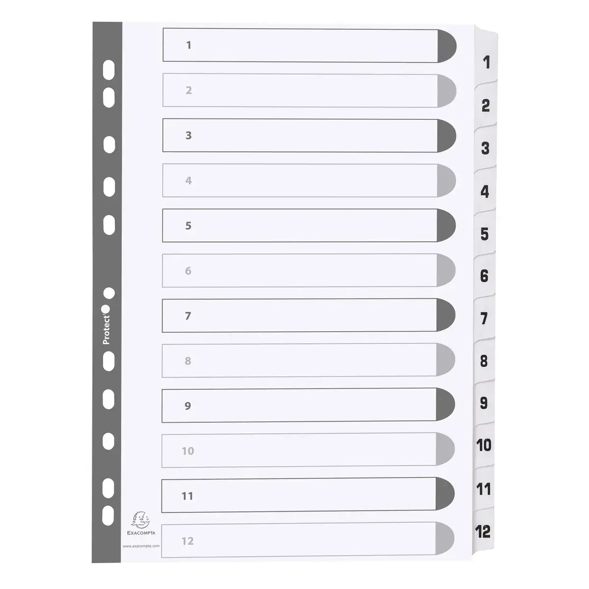 Gedrukte tabbladen met gelamineerde tabs - 12 tabs 1 tot 12 - A4 - Wit - Exacompta