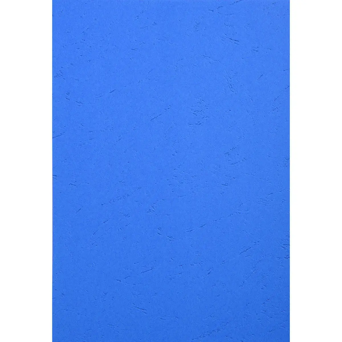 PK 100VL FOREVER FRANCE BLAUW A4 270G