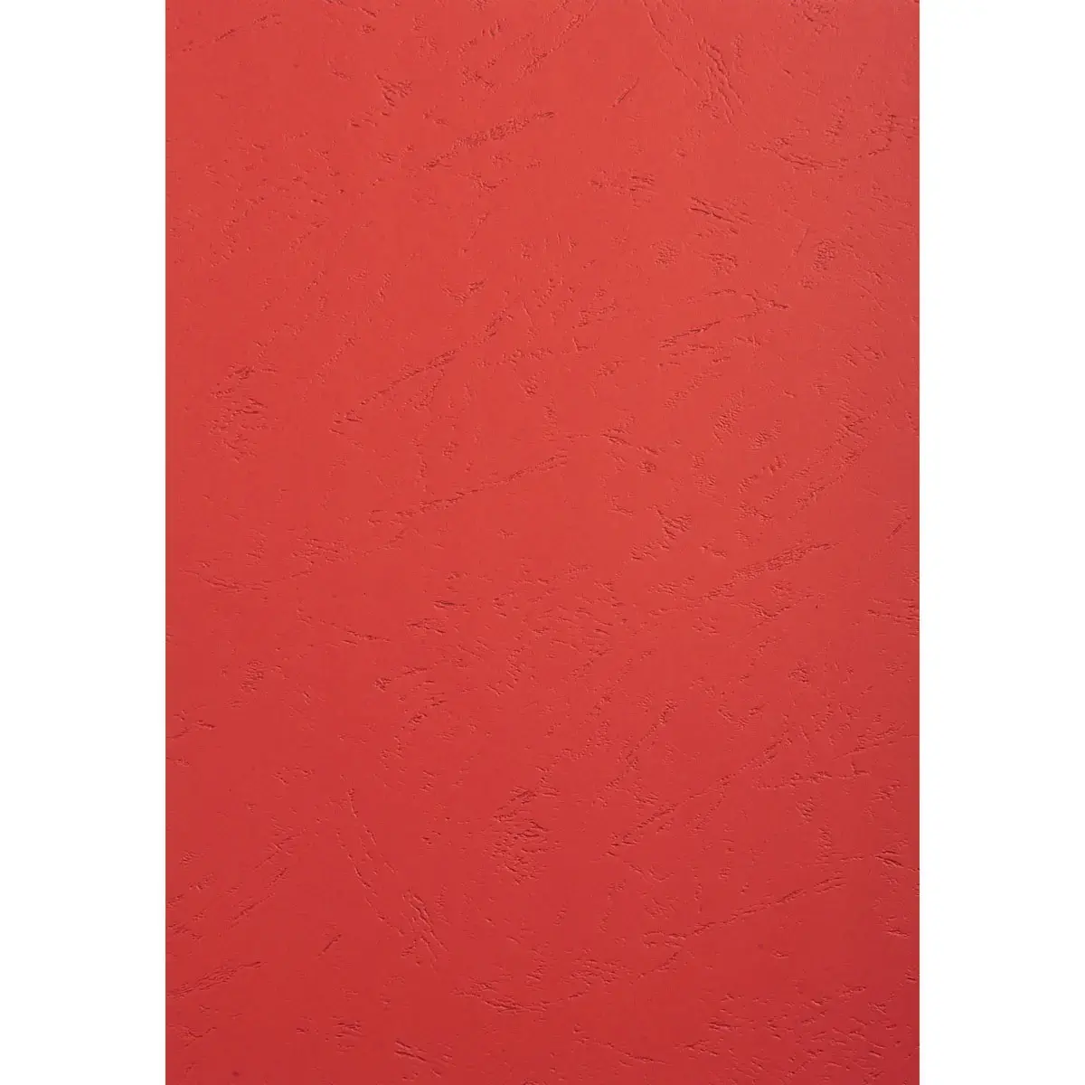 PK 100VL FOREVER ROOD A4 270G 