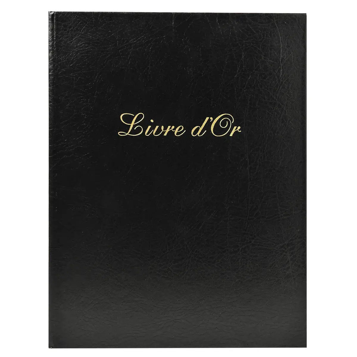 Gastenboek Livre d'Or 27x22cm 100bl ass