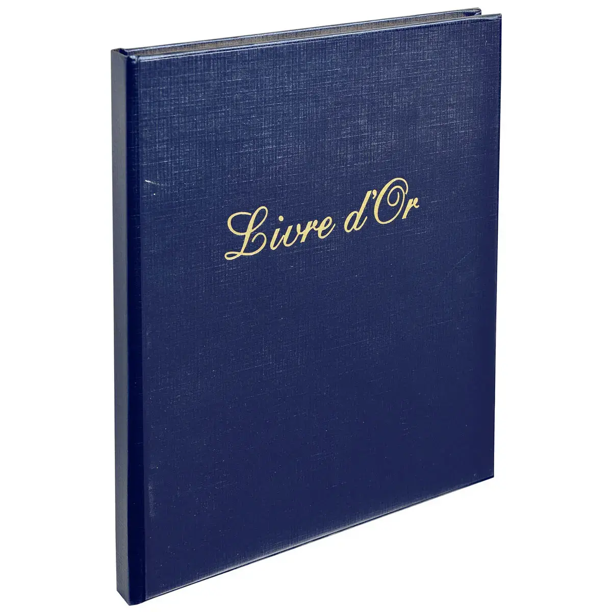 Gastenboek Balacron met titel 140 blanco pagina's - 21 x 19 cm verticaal - Assortimente kleuren - Exacompta 