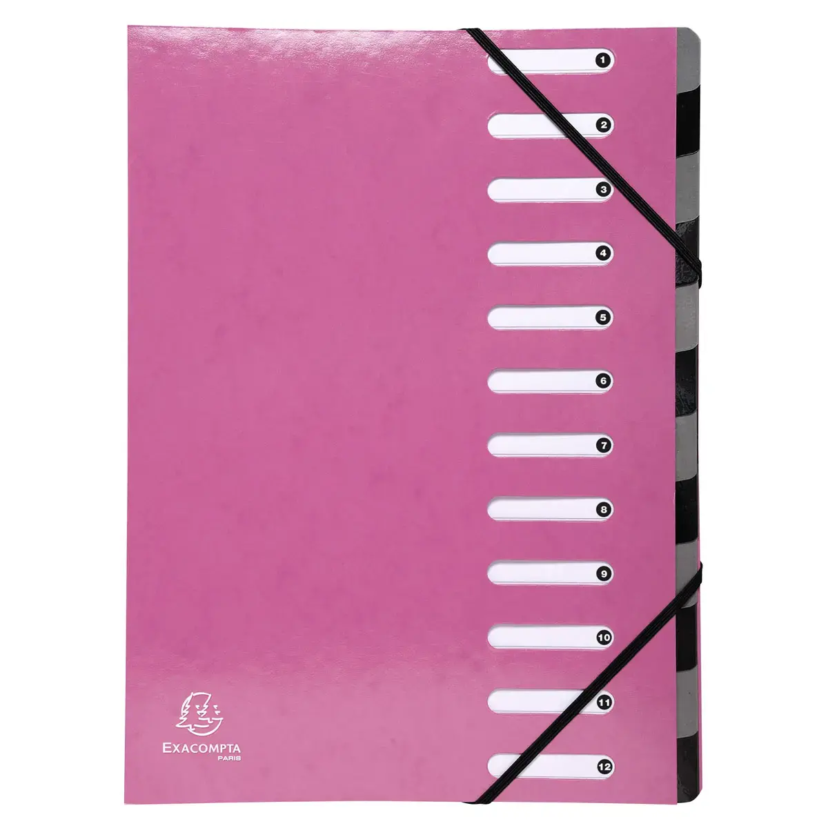 Sorteermap IDERAMA Harmonika 12vak roze