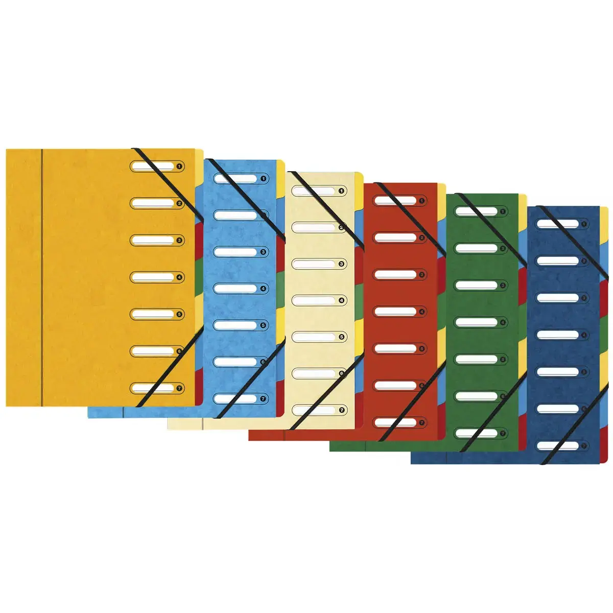 HARMONIKA® vensterordner met elastieken Nature Future glanzende kaart 7 vakken - Assortimente kleuren - Exacompta