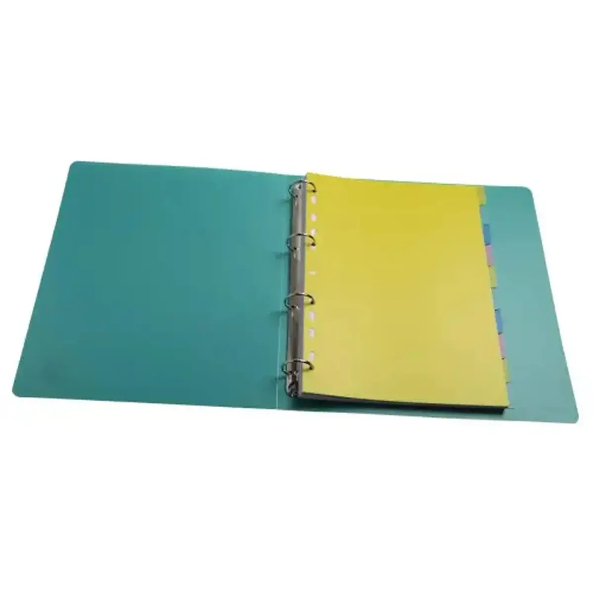 Intercalaires FOREVER YOUNG PP A4 10P