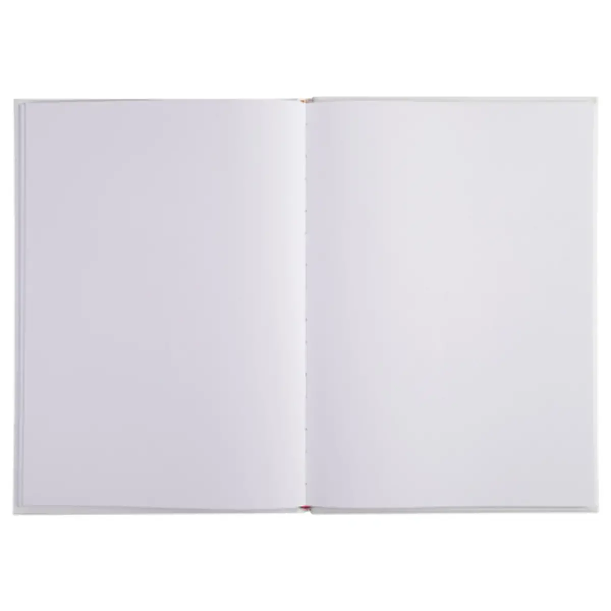 GOUDBOEK .1M. 297X210 WIT