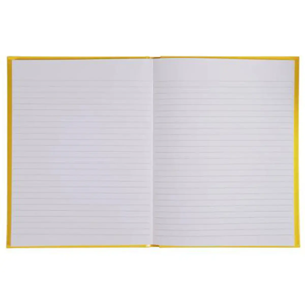 REG IDERAMA 220x170 192P GELE LIJN FSC®