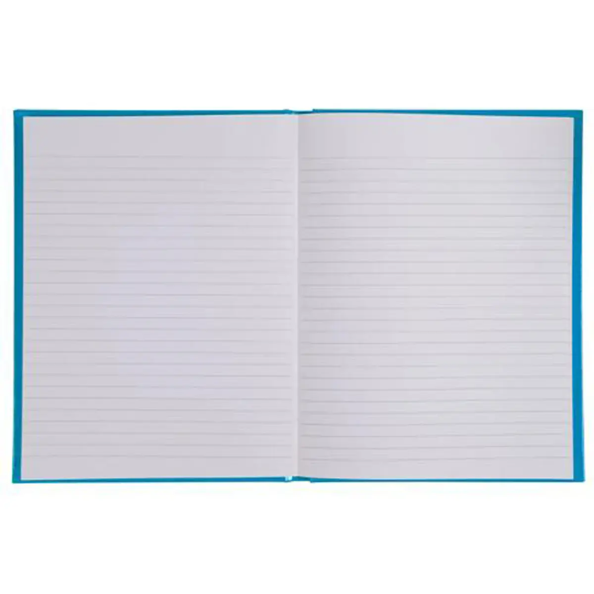REG IDERAMA 220x170 192P BLAUWE LIJN FSC®