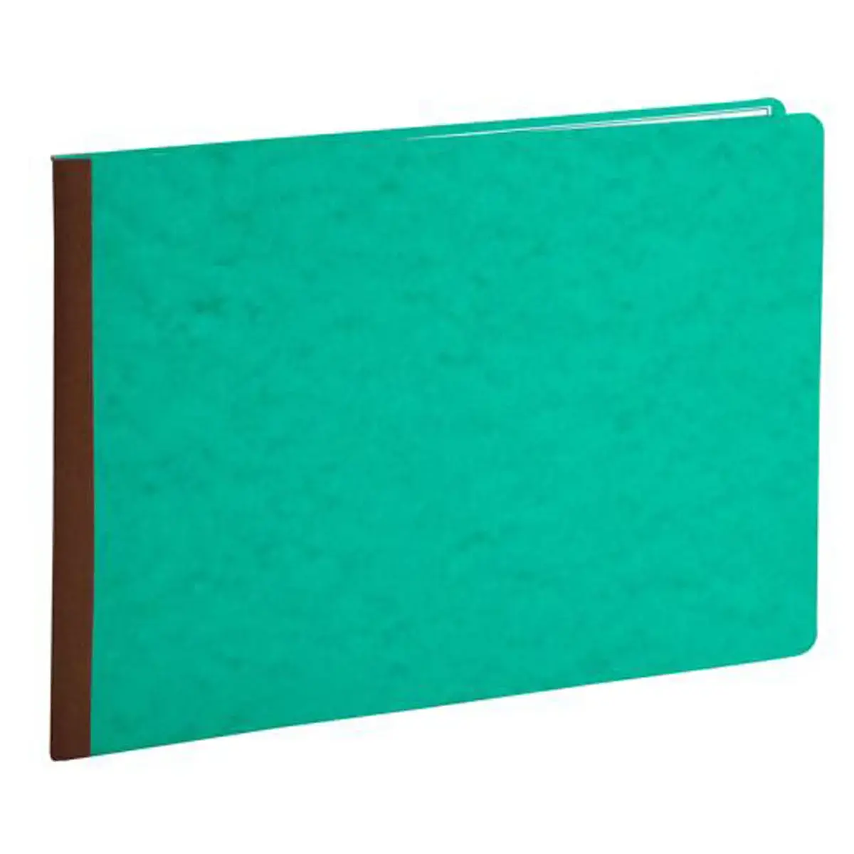 Punctie 13 luie kolommen - 24 x 32 cm - Exacompta