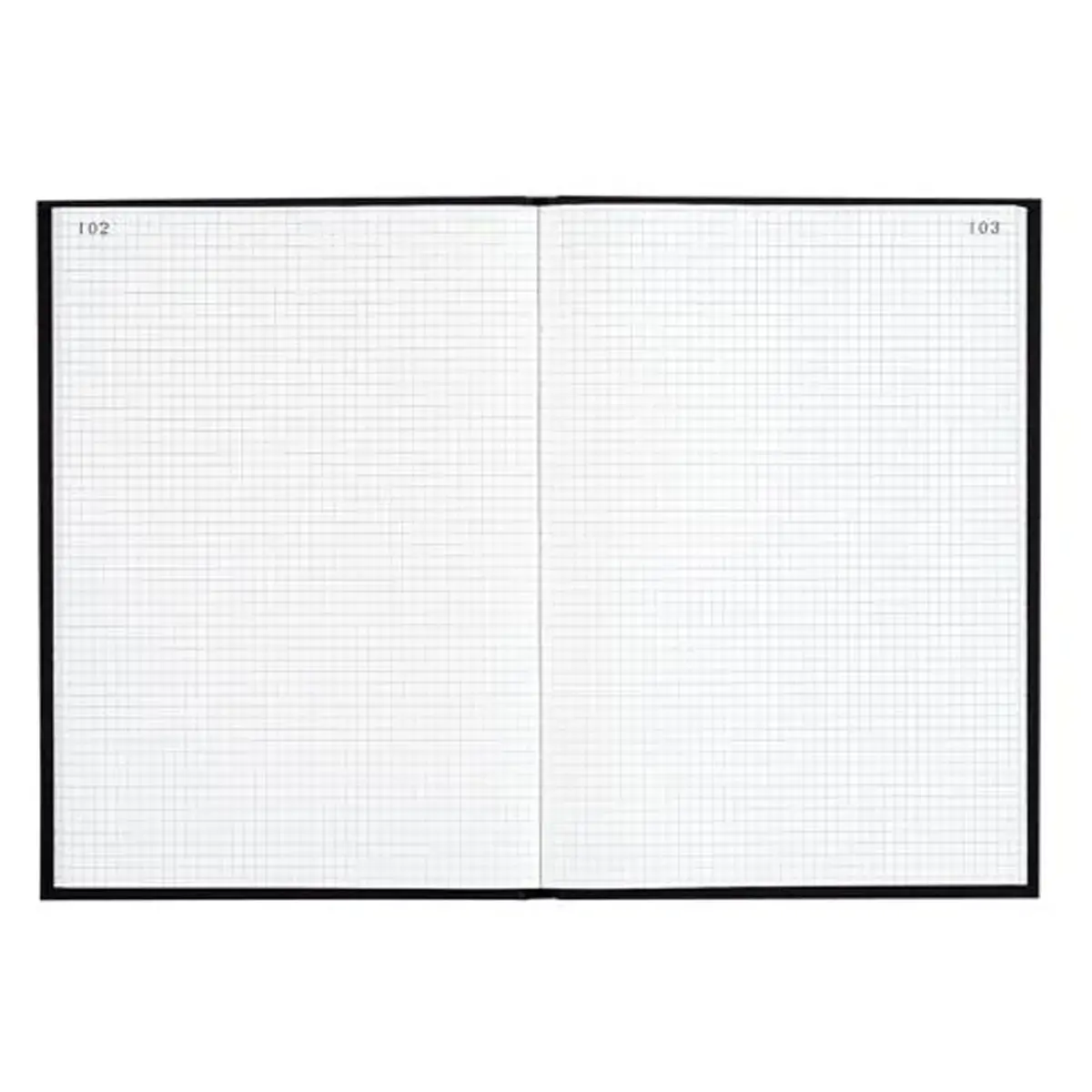 Gekartonneerd raster 5 x 5 mm genummerd - 34 x 22,5 cm - 400 pagina's - Exacompta