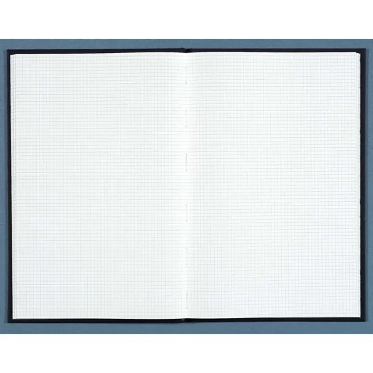 Gekaderd schrift 5 x 5 mm niet genummerd - A4 - 496 pagina's - Exacompta 