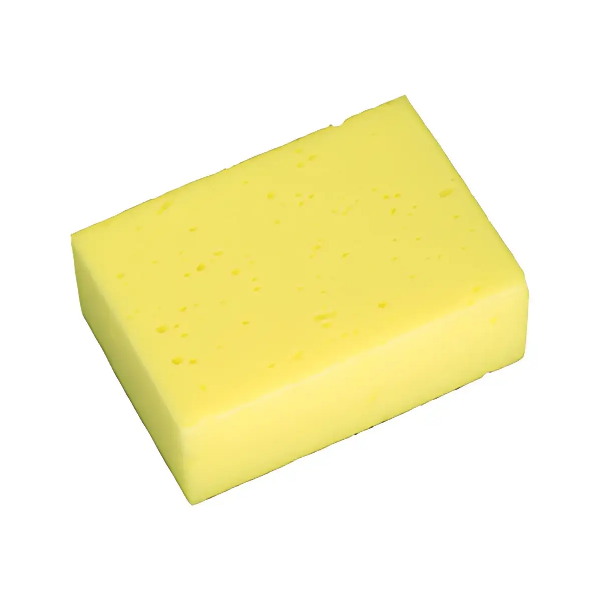 Läufer Eponge Hydro, afmetingen: (L)100 x (D)140 x (H)50 mm