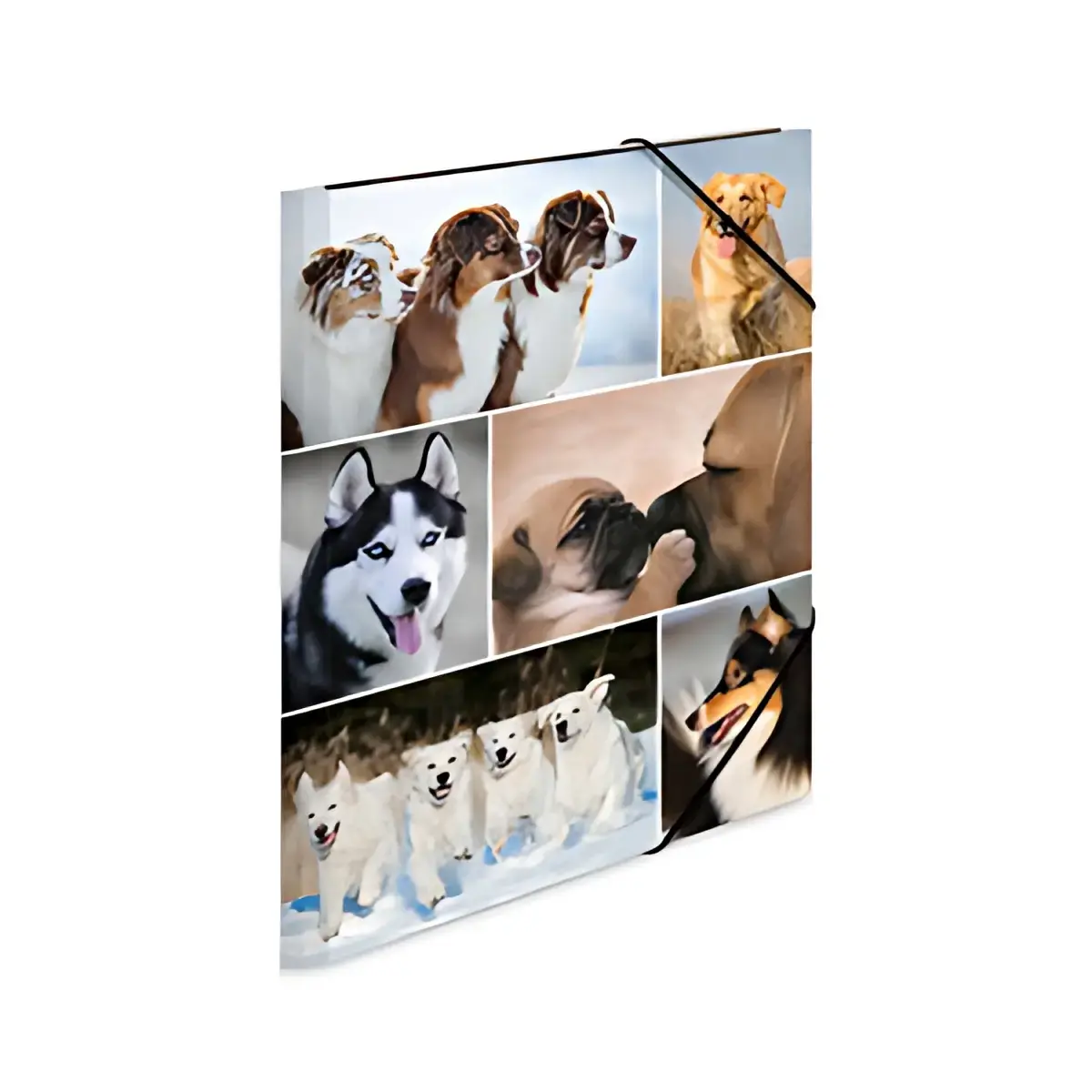 HERMA Map met elastieken 'delphine', van karton,
