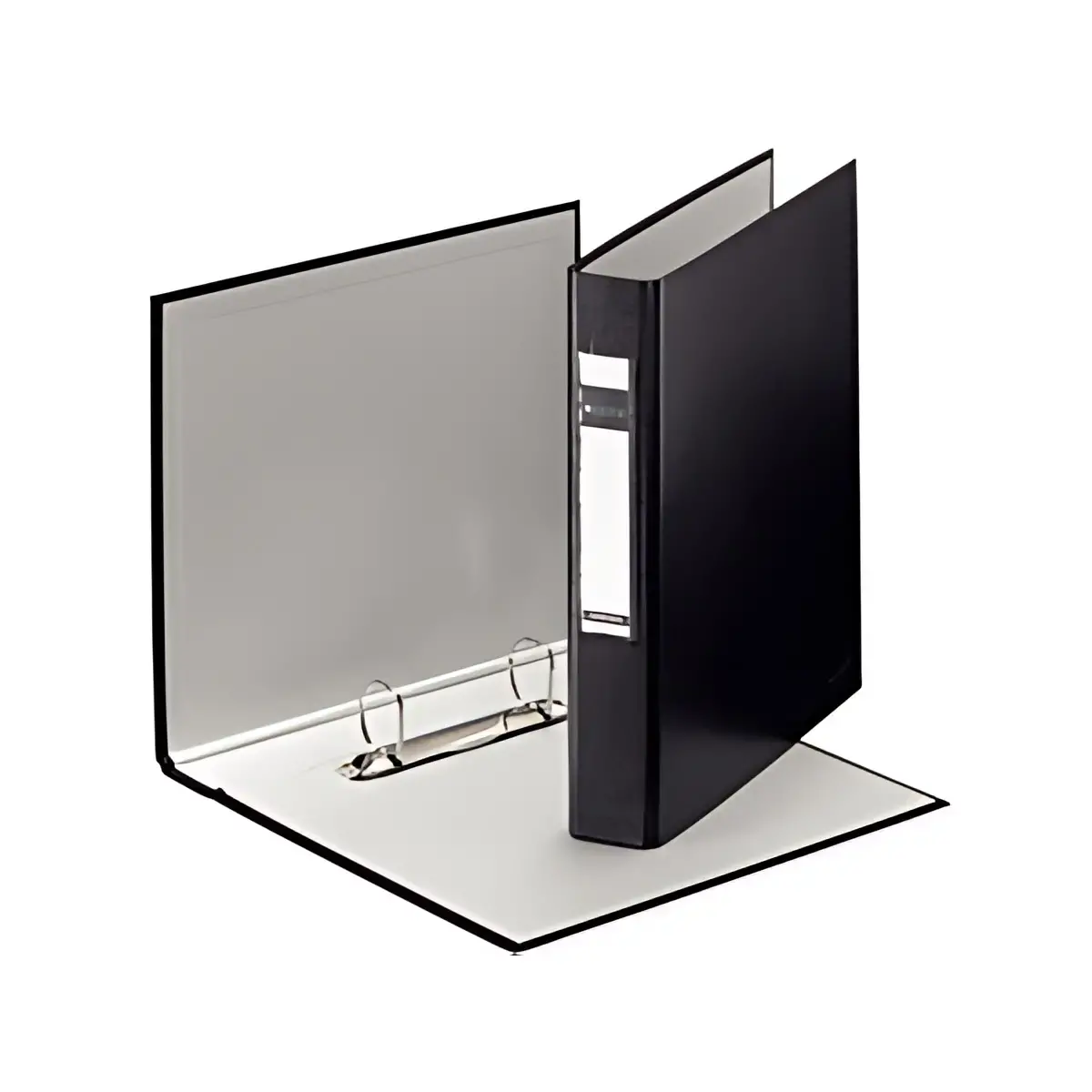 LEITZ Ringmap Standard, A5, zwart, 2-rings mechanisme 