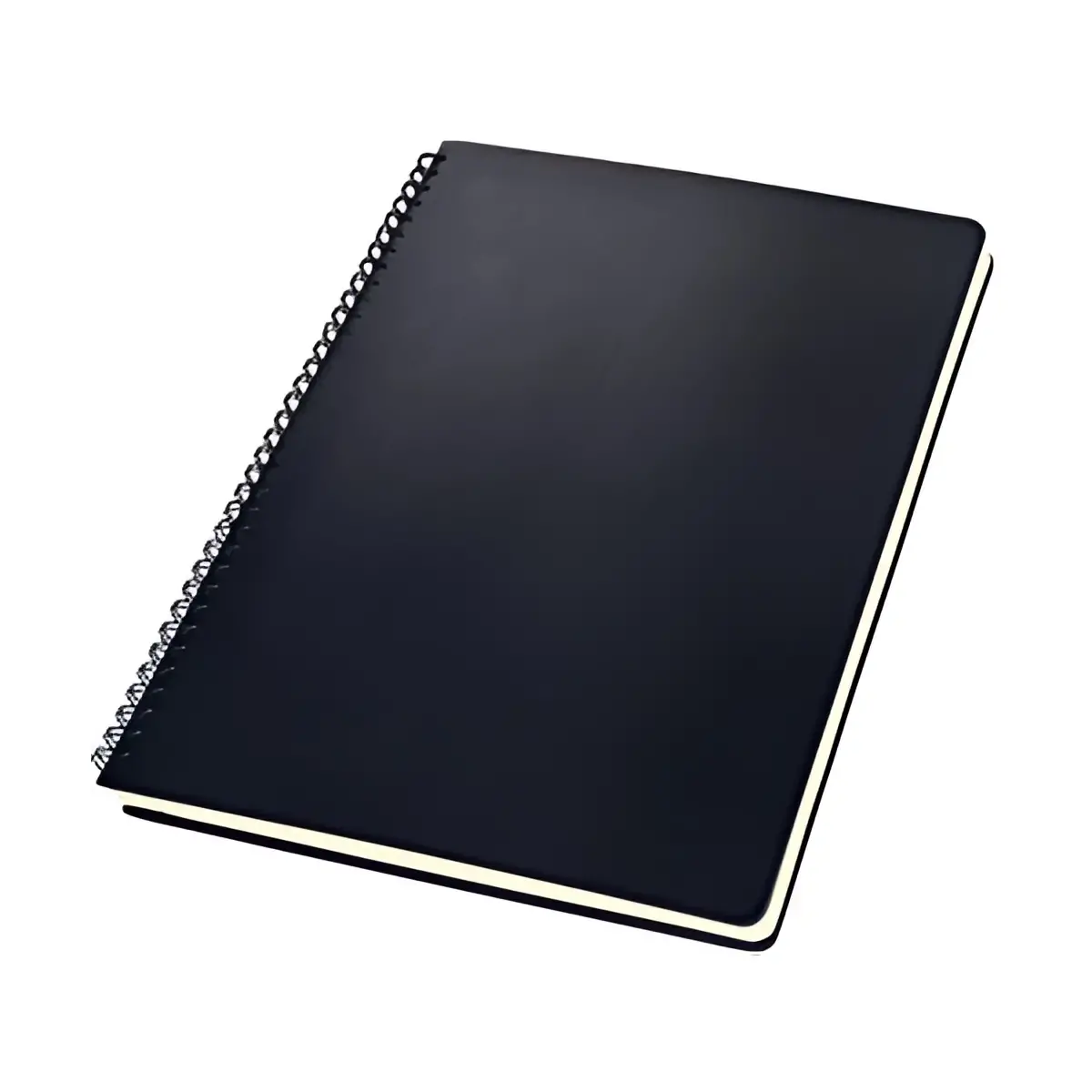 sigel Conceptum spiraalschrift, A4, geruit, zwart 