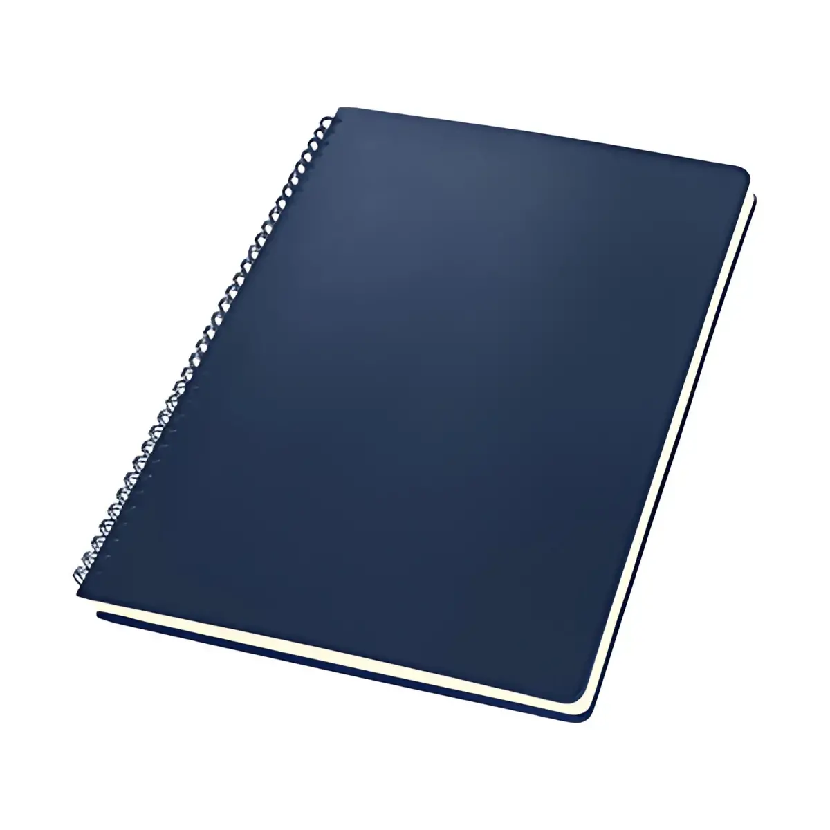 sigel Conceptum spiraalschrift, A4, geruit, zwart 