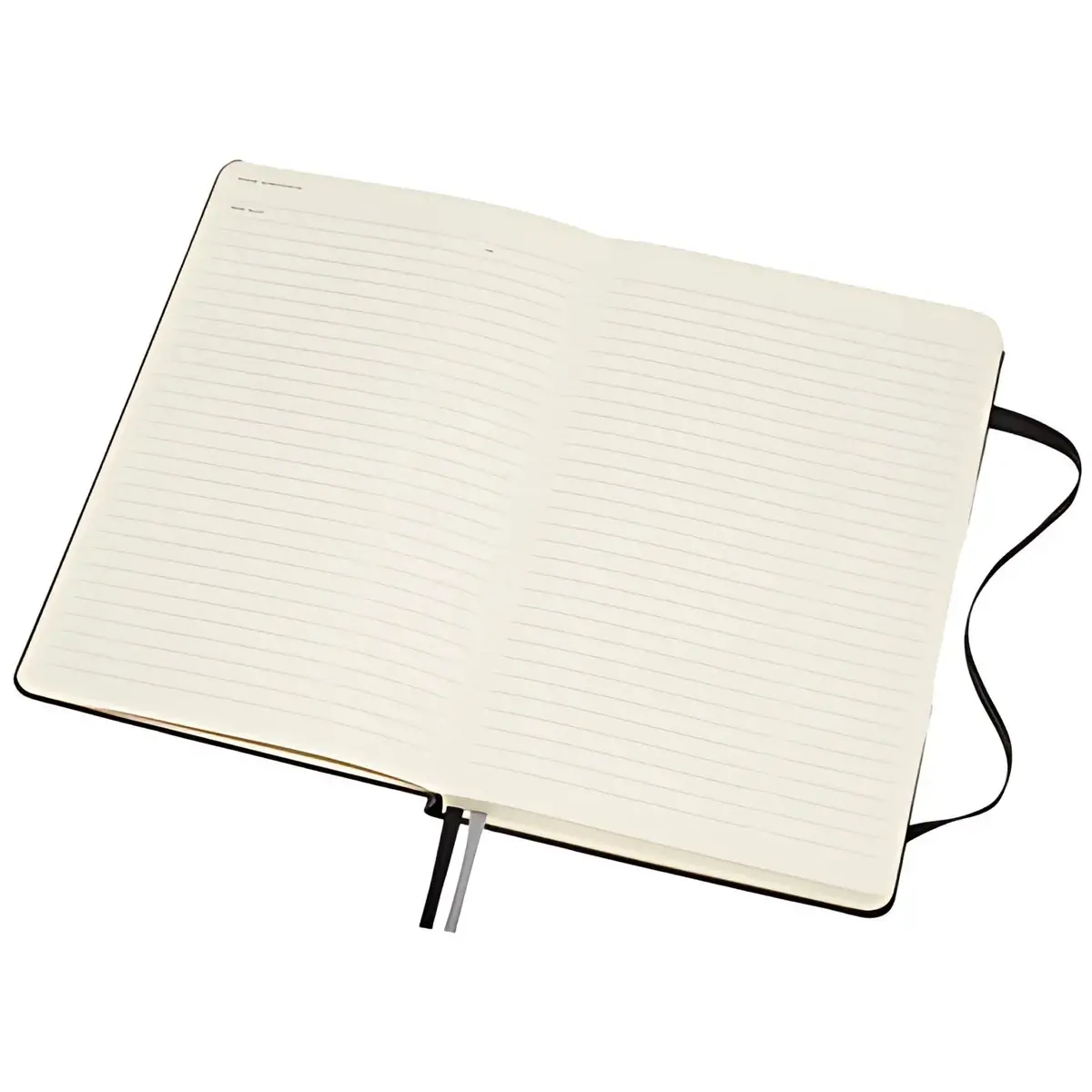MOLESKINE Bullet Notebook schetsboek, L/A5, zwart 