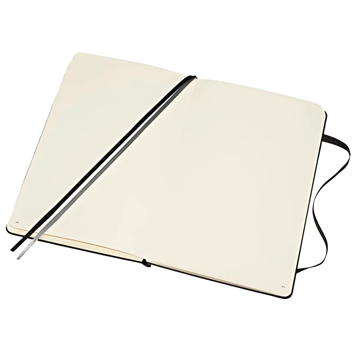 MOLESKINE Bullet Notebook schetsboek, L/A5, zwart 