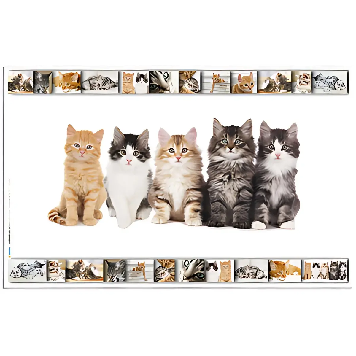 HERMA Bureauonderlegger 'Katten', (L)550 x (H)350 mm