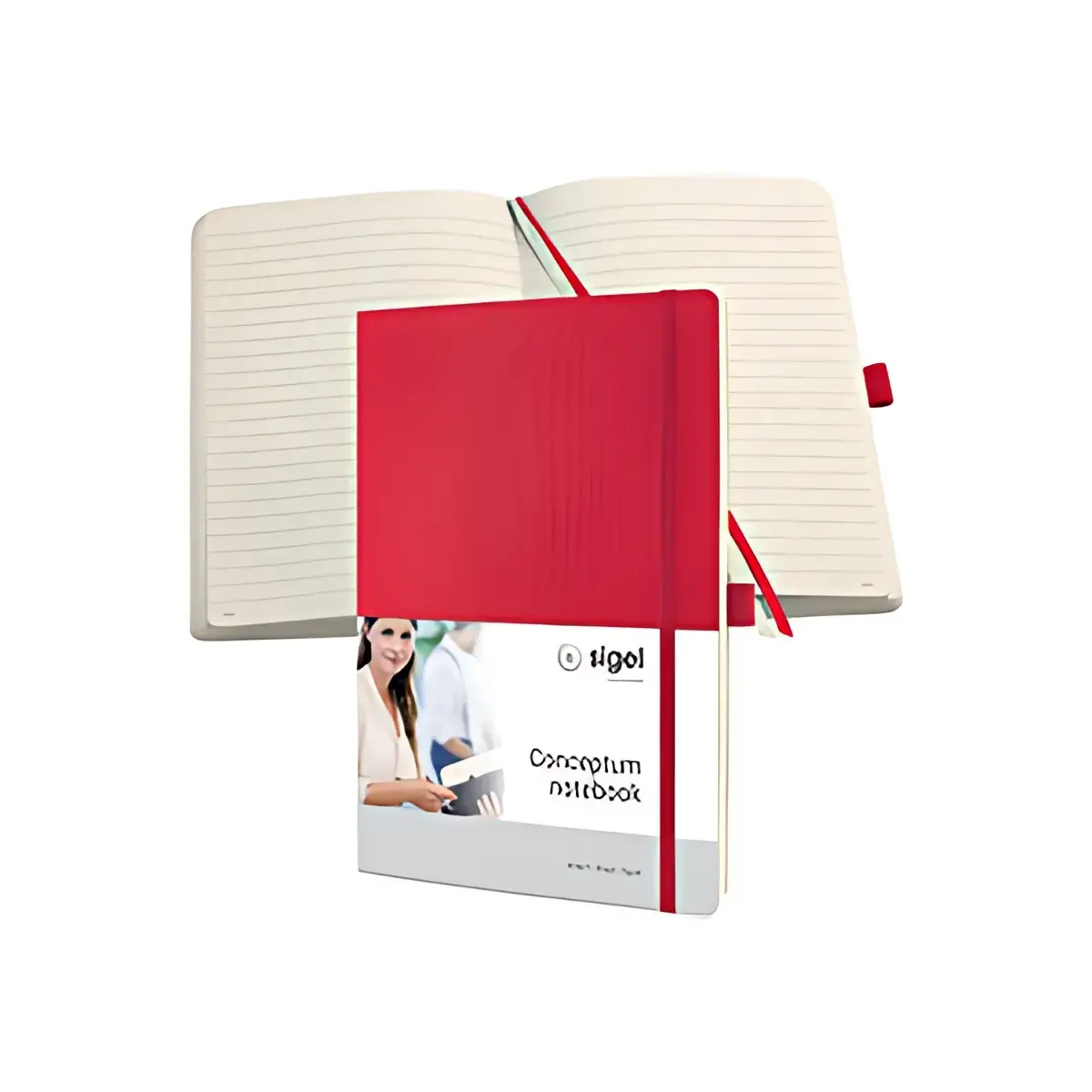 sigel Notitieboek Conceptum, A4, geruit, muntgroen