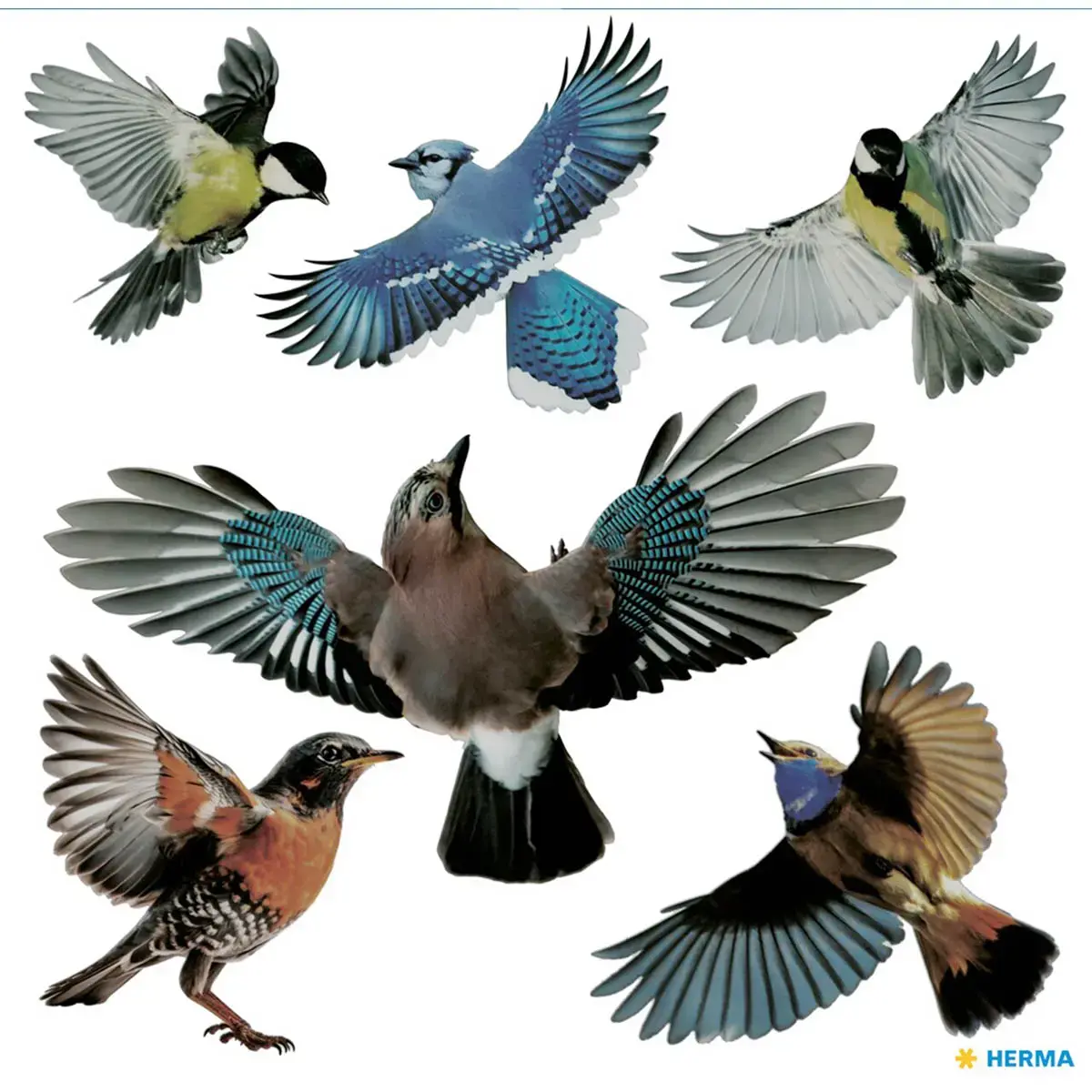 Raamvogels - folie - bestendig tegen - Herma