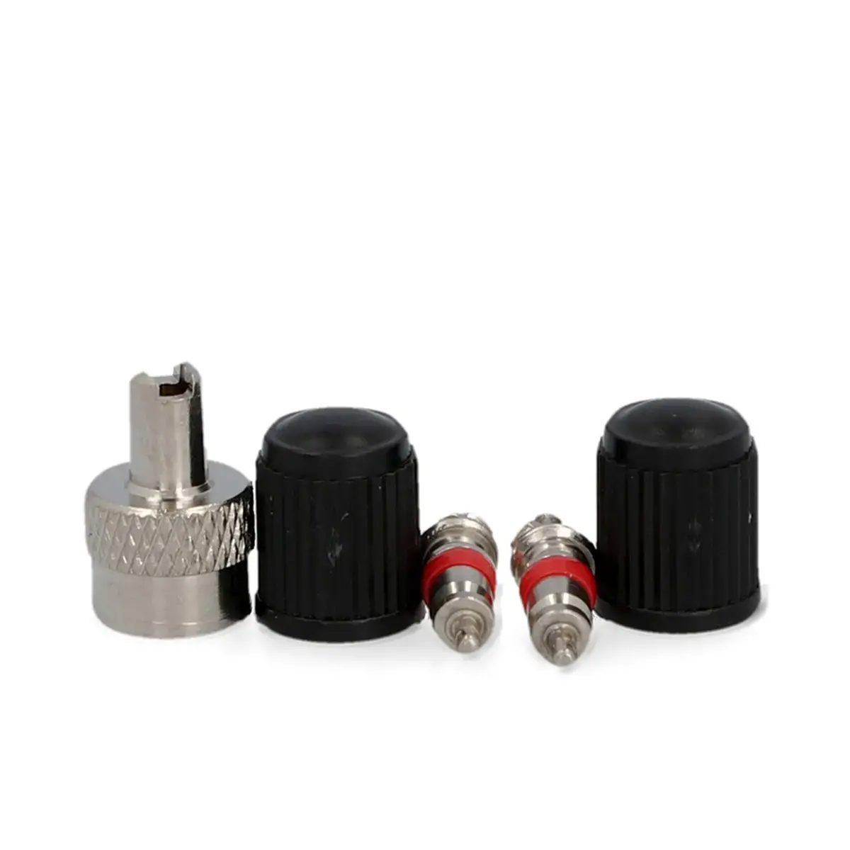 Ventielset voor fiets, 5 stuks - Fischer